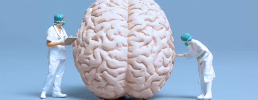 Les causes de la maladie d'Alzheimer
